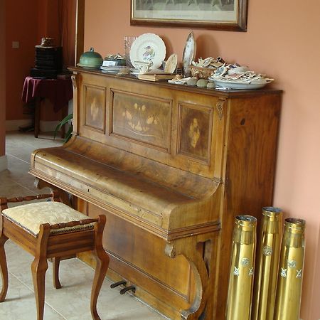 Rosslare Harbour Clifford House B & B מראה חיצוני תמונה