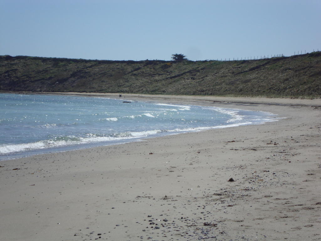 Rosslare Harbour Clifford House B & B מראה חיצוני תמונה