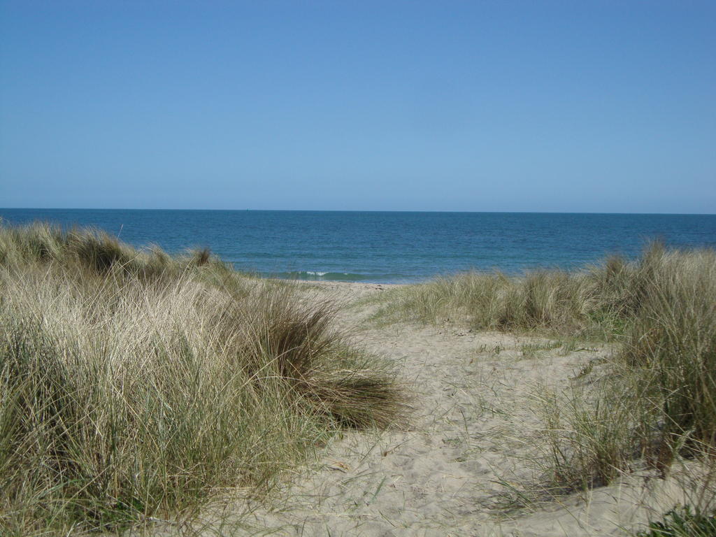 Rosslare Harbour Clifford House B & B מראה חיצוני תמונה
