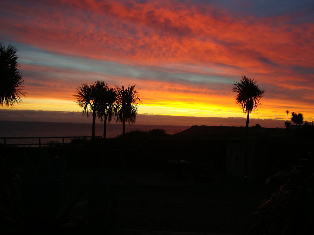 Rosslare Harbour Clifford House B & B מראה חיצוני תמונה